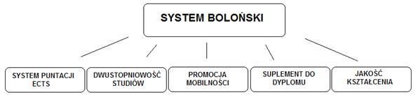System Boloński